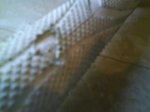 DSC00816.jpg