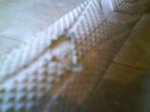 DSC00817.jpg