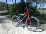 29042010022.jpg