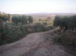 PICT2181.jpg