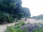 03072010920.jpg
