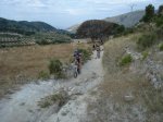 DSC00529.jpg
