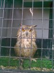 04072010174.jpg