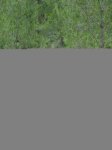DSC00553.jpg