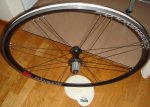 DSC08144.JPG