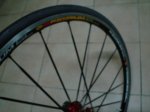 DSC04240.JPG