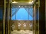 2010-07-05 13.03.42.jpg