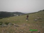 PICT0334.jpg