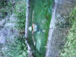 DSC00031.jpg