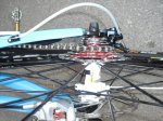 IBISnew-2010 021.jpg