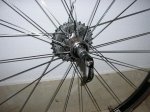 zipp 005.jpg