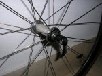 zipp 007.jpg