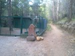 08072010155.jpg