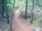 08072010153.jpg
