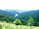 DSC00465.jpg