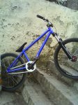 DSC00537.jpg