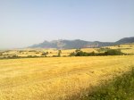 08072010333.jpg