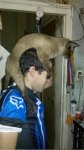 2010-07-06_22-54-27_463.jpg