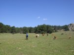 DSC03854.JPG