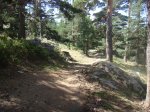 DSC03865.JPG
