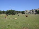 DSC03851.JPG