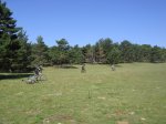 DSC03849.JPG