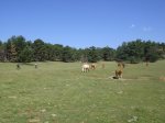 DSC03850.JPG