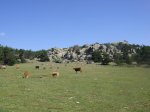 DSC03855.JPG