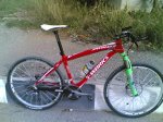 stumpjumper red carbon.jpg