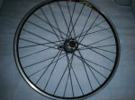 DSC00186.jpg