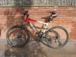 bicis 002.jpg