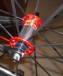 para foromtb.JPG