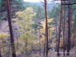 a09_Entorno-ArroyoSistilQ90.jpg