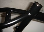 Dsc00163.jpg