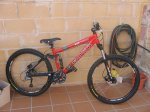 kona howler peke 1.JPG