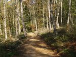 PA270453.jpg