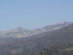 PA270471.jpg