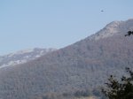 PA270477.jpg