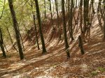 PA270546.jpg