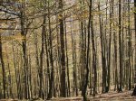 PA270574.jpg