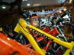 DSC05570.JPG