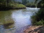 IMG00043-20100710-1128.jpg