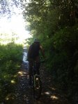 10072010178.jpg