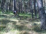 IMG00186-20100711-1137.jpg