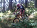 IMG00182-20100711-1133.jpg
