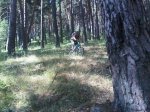 IMG00185-20100711-1136.jpg