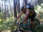 IMG00184-20100711-1134.jpg