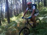 IMG00183-20100711-1134.jpg