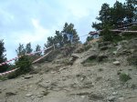 DSC01211.jpg