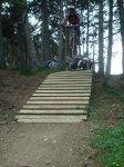 DSC01310.jpg